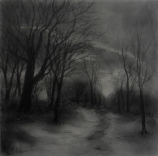 A Walk in the Woods, Graphite on panel
