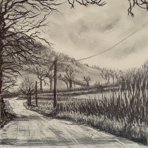 'Down Lillypool Way', Graphite