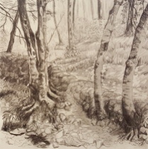 'A Walk in the Woods' Series 2, Graphite